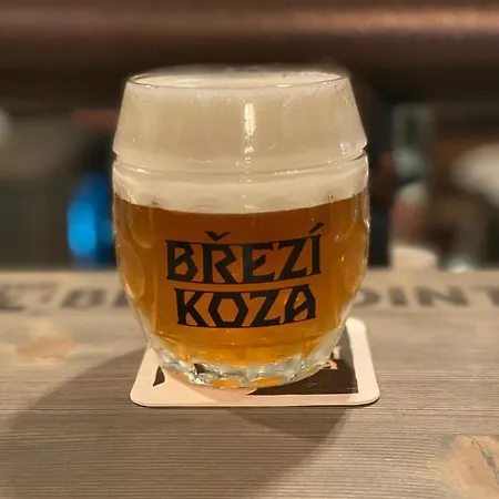Galko Český Krumlov