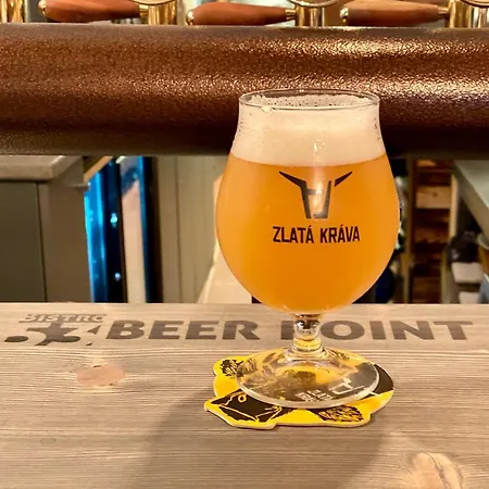 Galko Gæstehus Český Krumlov